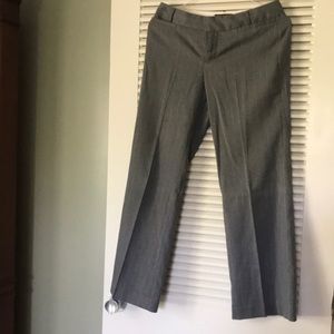Dress Pants